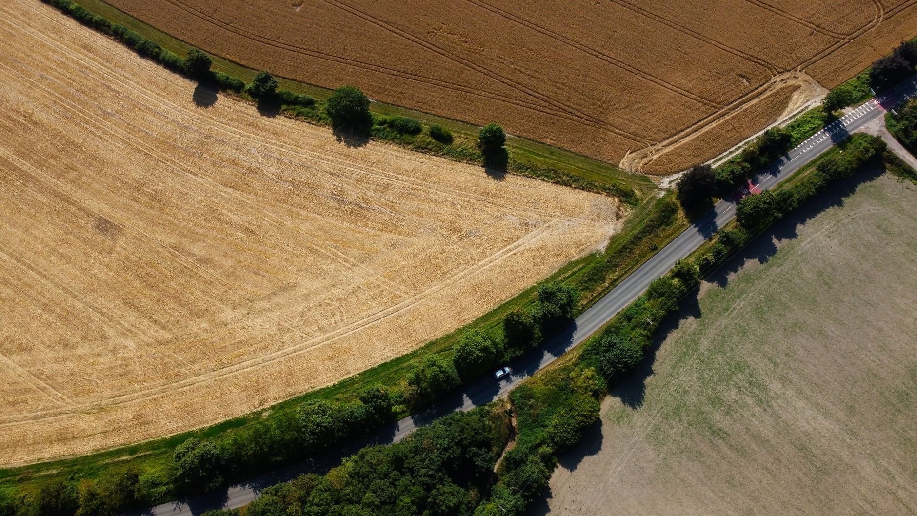 Vue aérienne de champs bordés de haies et d