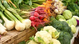 Étal de légumes frais présenté dans une boutique à la ferme