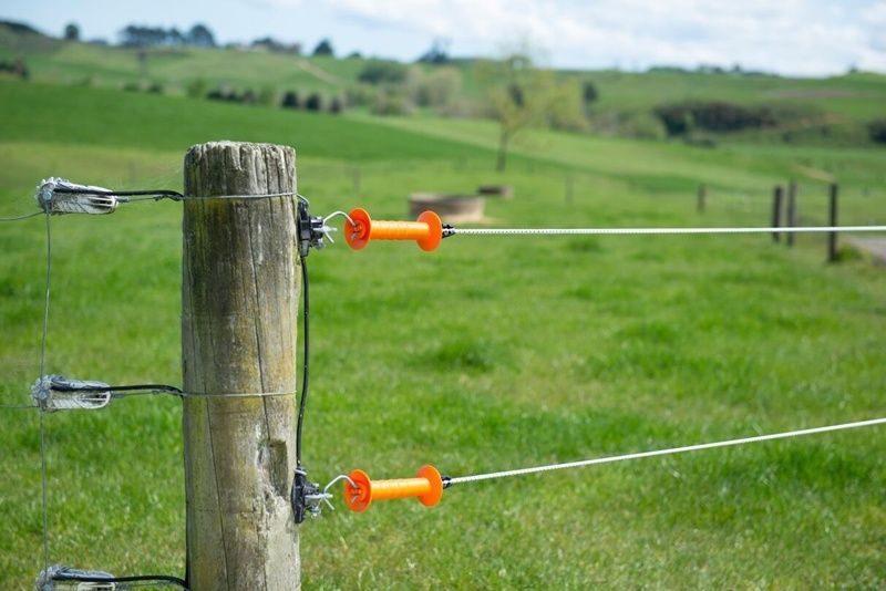 Clôture électrique mobile délimitant une prairie verdoyante